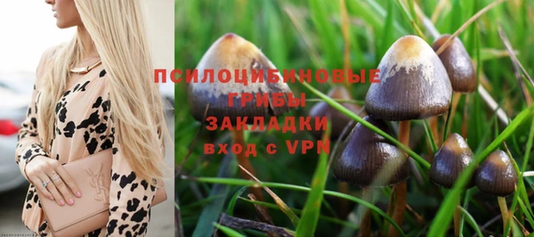 спайс Алексеевка